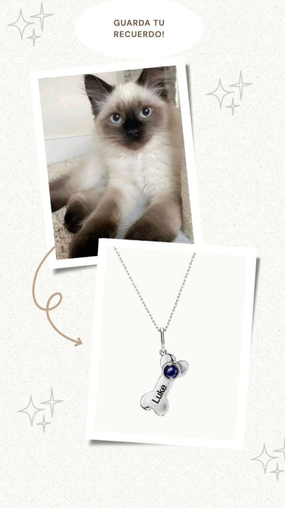 Collar conmemorativo para mascota.