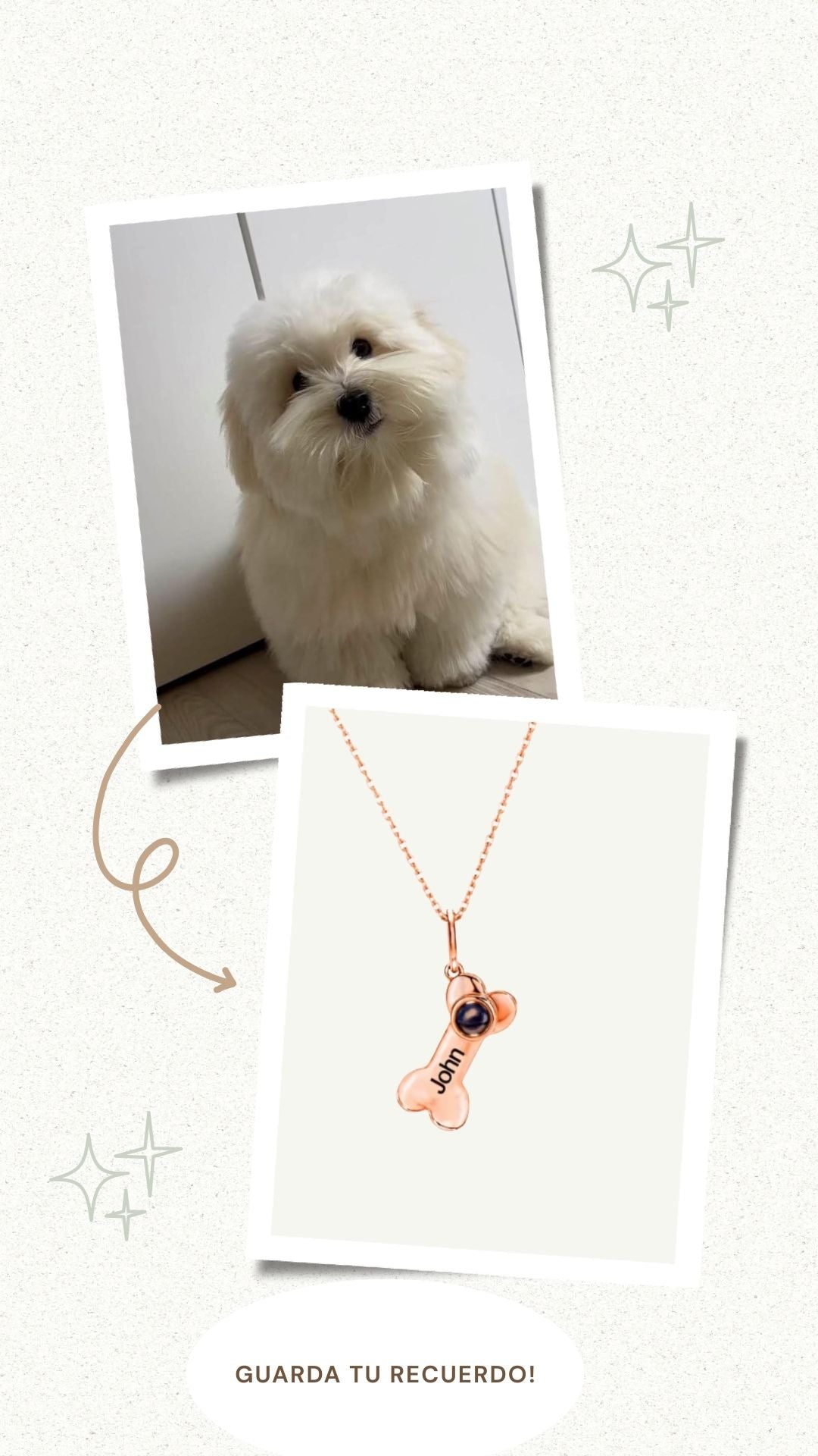 Collar conmemorativo para mascota.